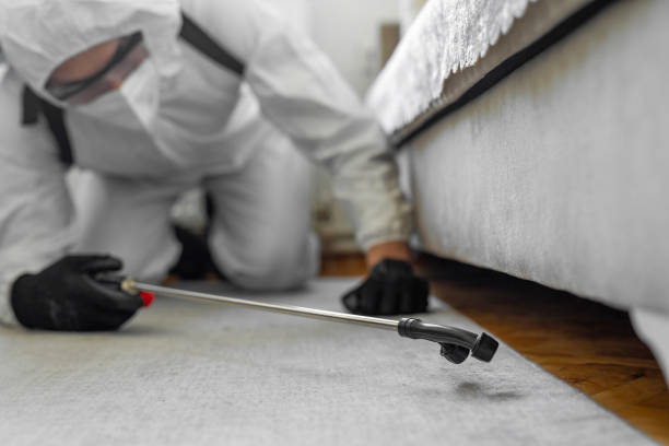 Professional Termite Control technician working in Perkins, OK