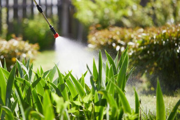 24/7 Emergency Termite Control experts in Perkins, OK