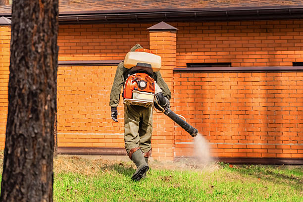 Top rated local Termite Control specialists in Perkins, OK